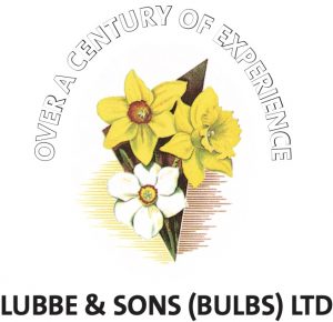 Lubbe & Sons